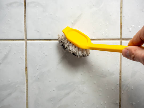 Best Residential Mold Remediation in Carlin, NV