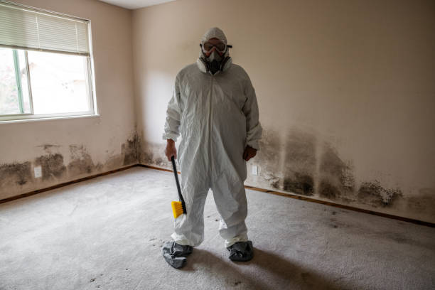 Best Mold Testing and Inspection Services in Carlin, NV